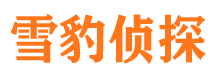 静乐市侦探公司